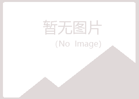 延川县冰夏木材有限公司